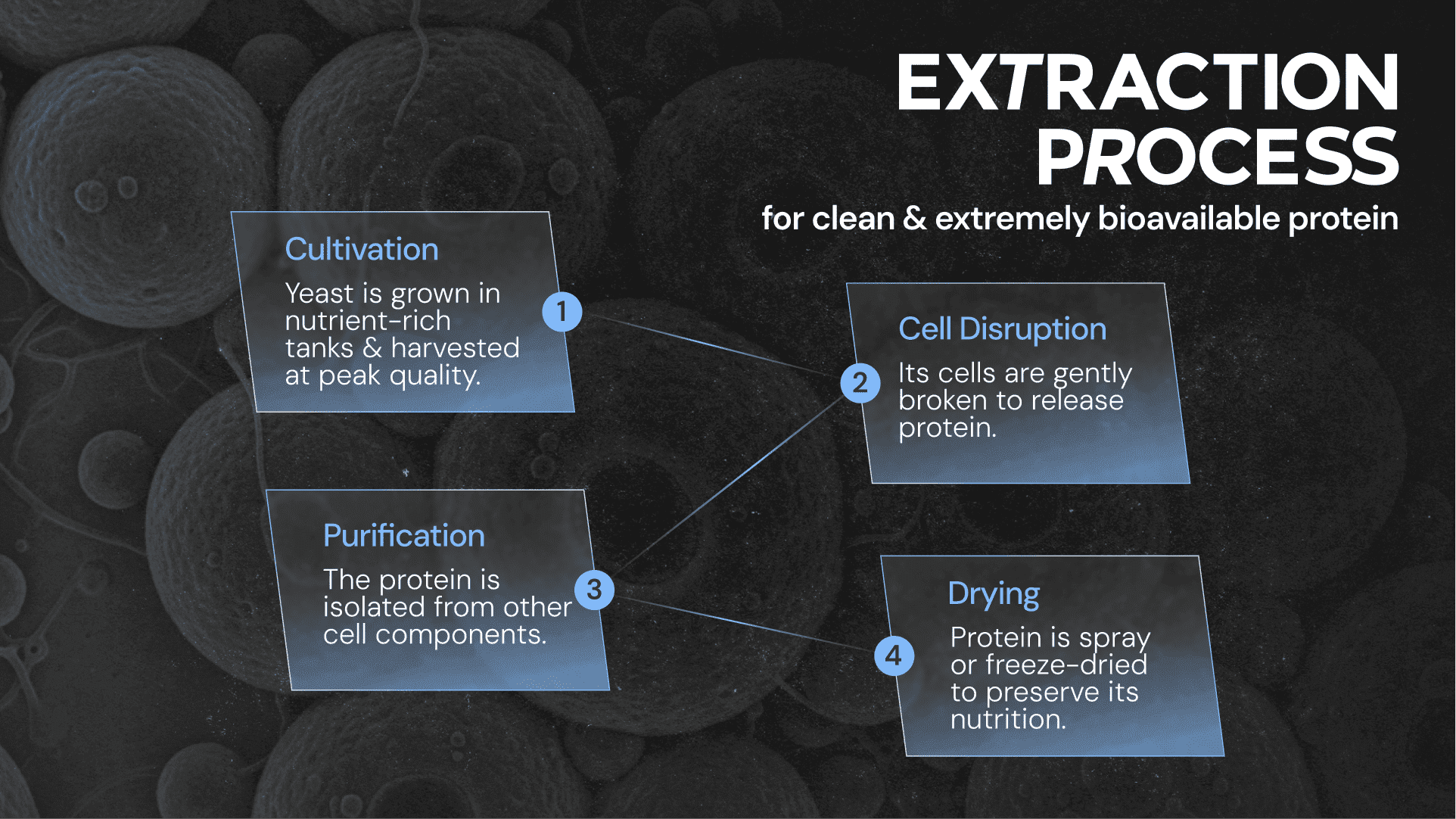 Extraction process